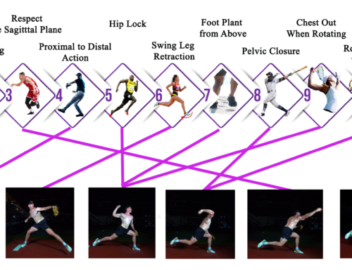 Why Attractors Transfer and Mechanics Don't