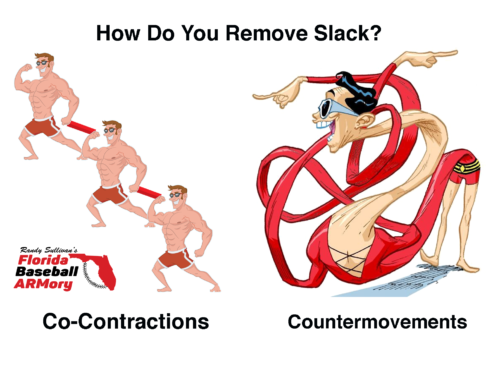 Slack Regulation: The Hidden Key to Power, Precision, and Arm Health in Pitching